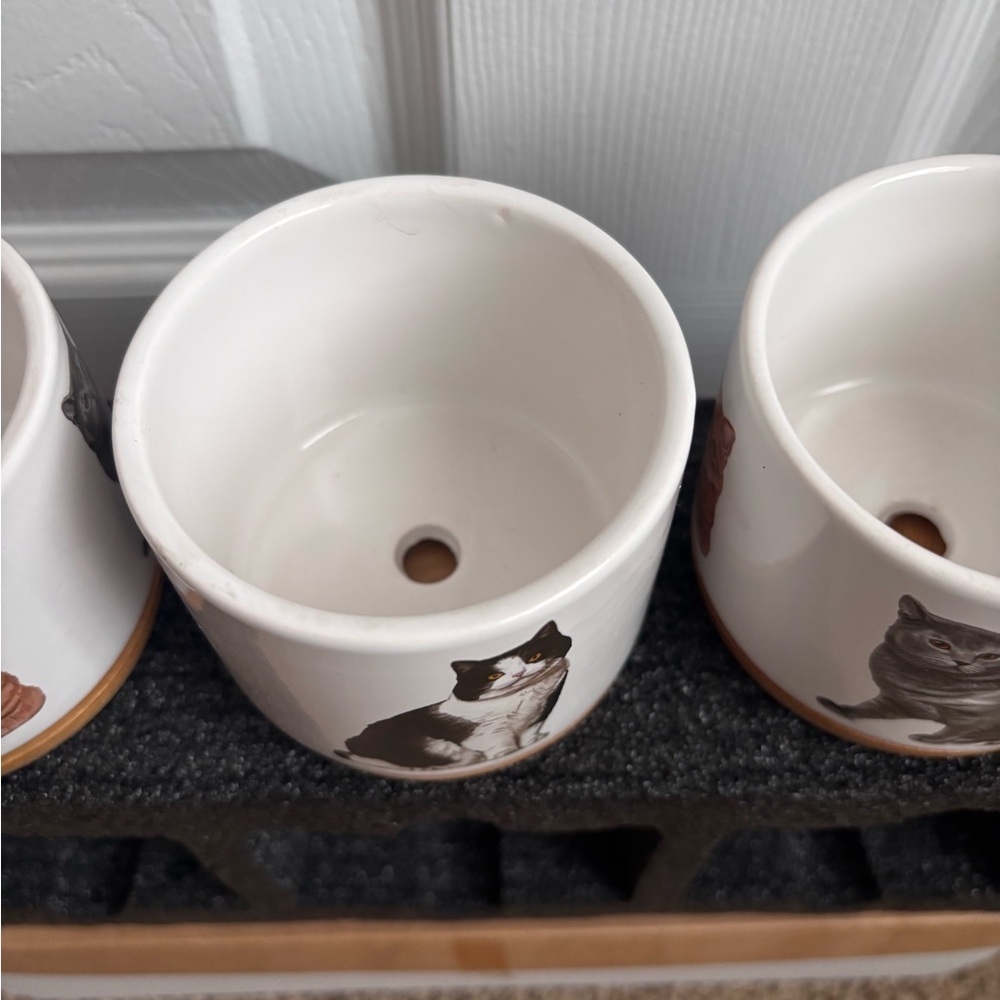 Mini Cat Planters | Set of 3 | NEW - Picture 5 of 7
